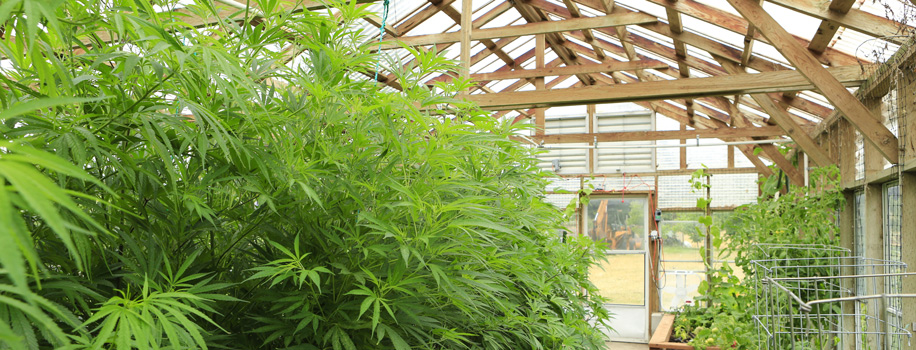 Security Solutions for Apartments in Great Neck, NY